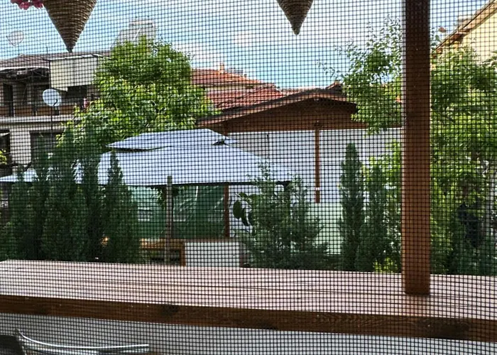 Alex * サンダンスキ